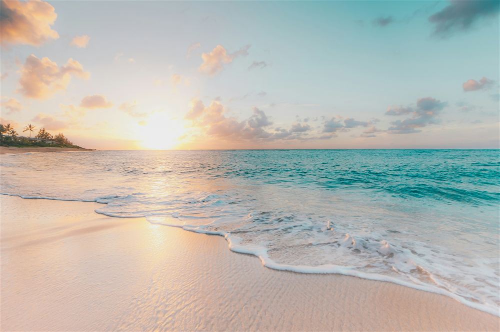Summer theme background