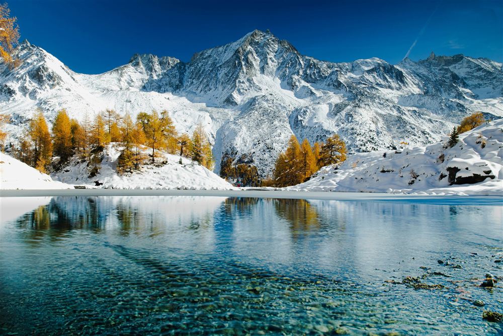 Winter theme background